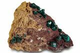 Lustrous Dioptase Crystals On Brown Rock - Congo #263285-1